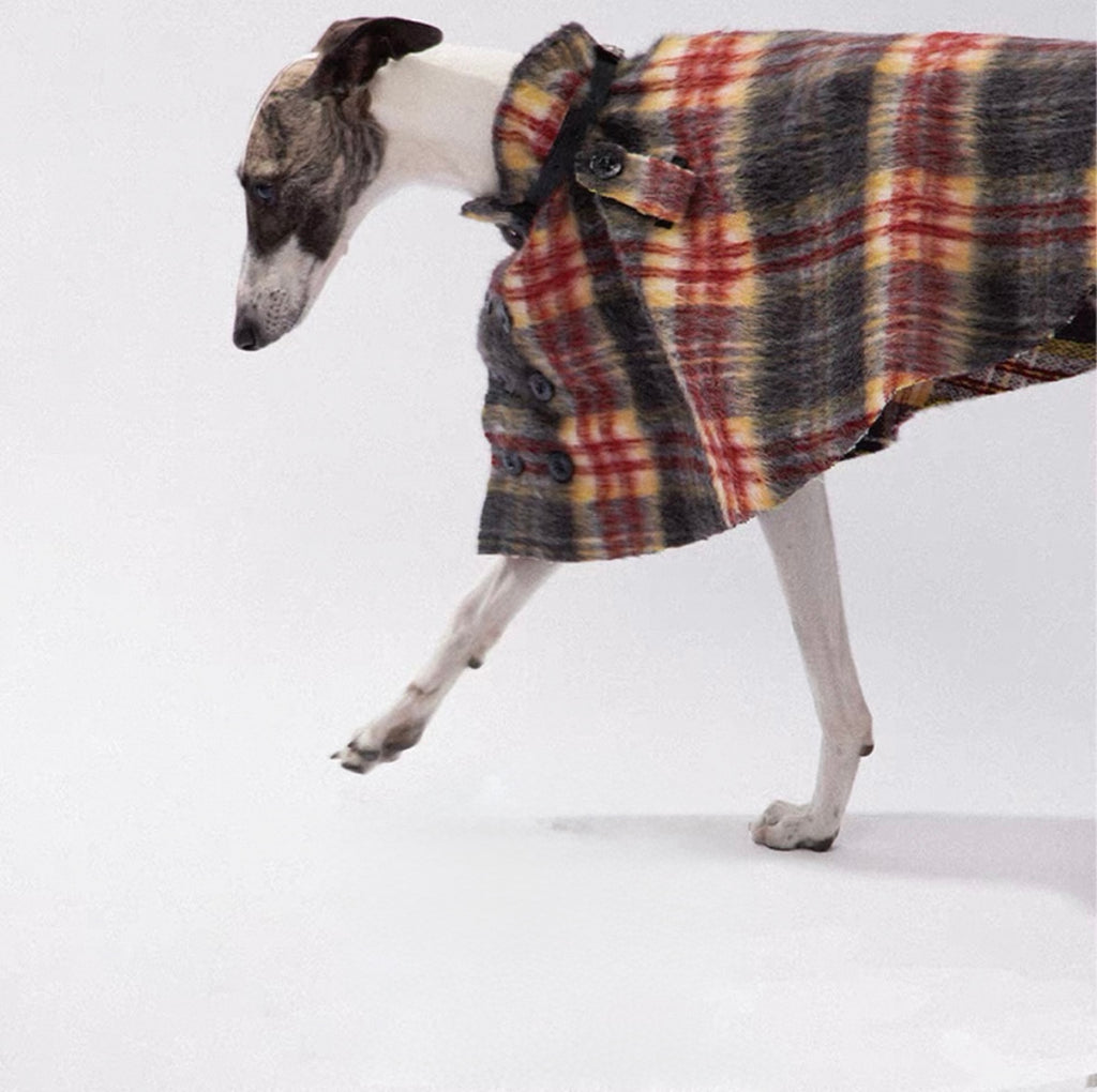 TAORAE Plaid Pet Cloak