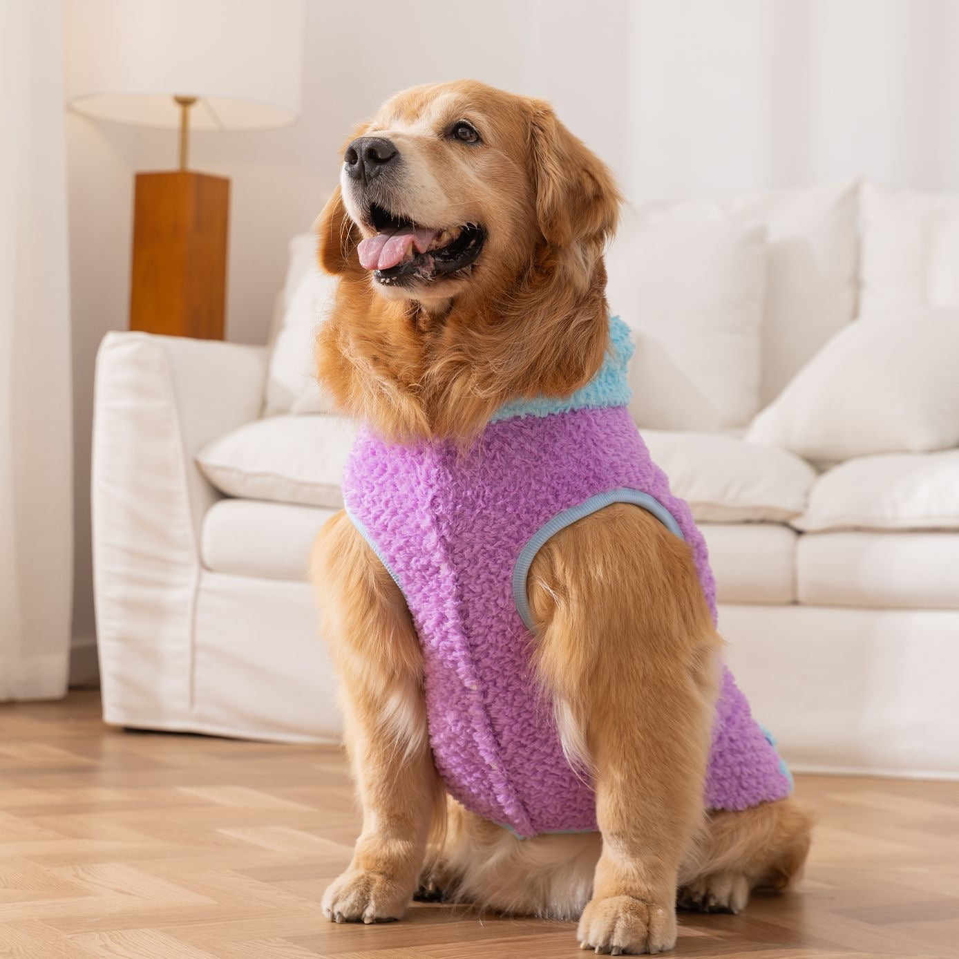 Color-Block Hooded
Fleece Jacket for Medium & Large Dogs - Autumn/ Winter Edition