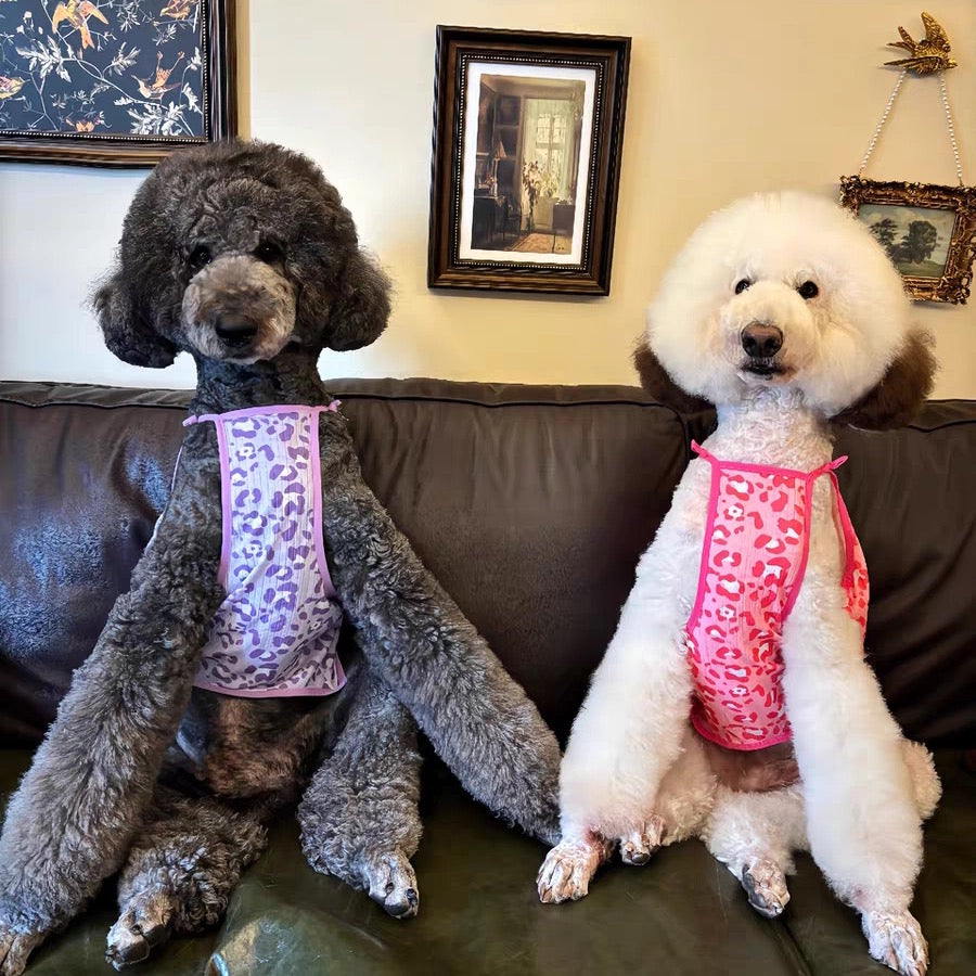 Lightweight Leopard-Print Pet Camisole