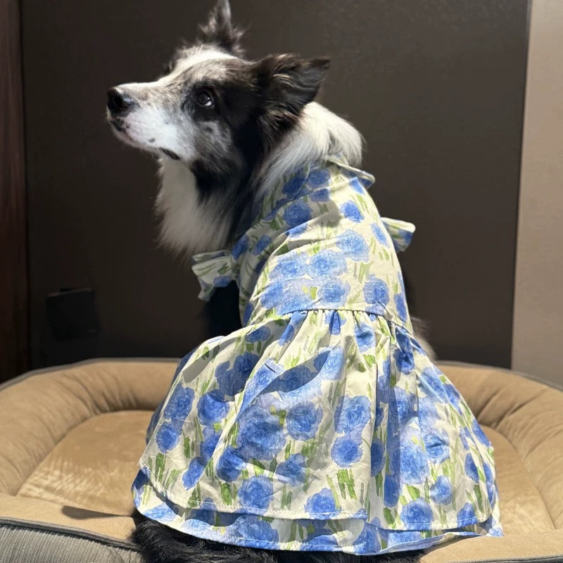 Lightweight floral dress suitable for large, medium, and small dogs