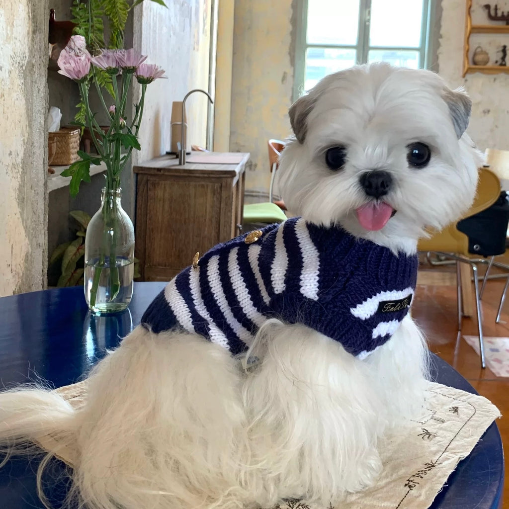 Navy striped sweater suitable for small dogs