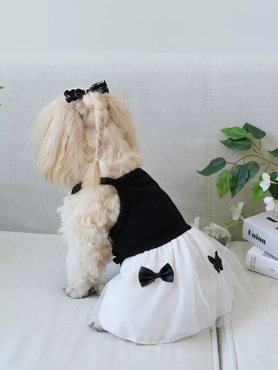 New Lightweight Dog
Dress - Cool, Cute & Comfy for Small Breeds