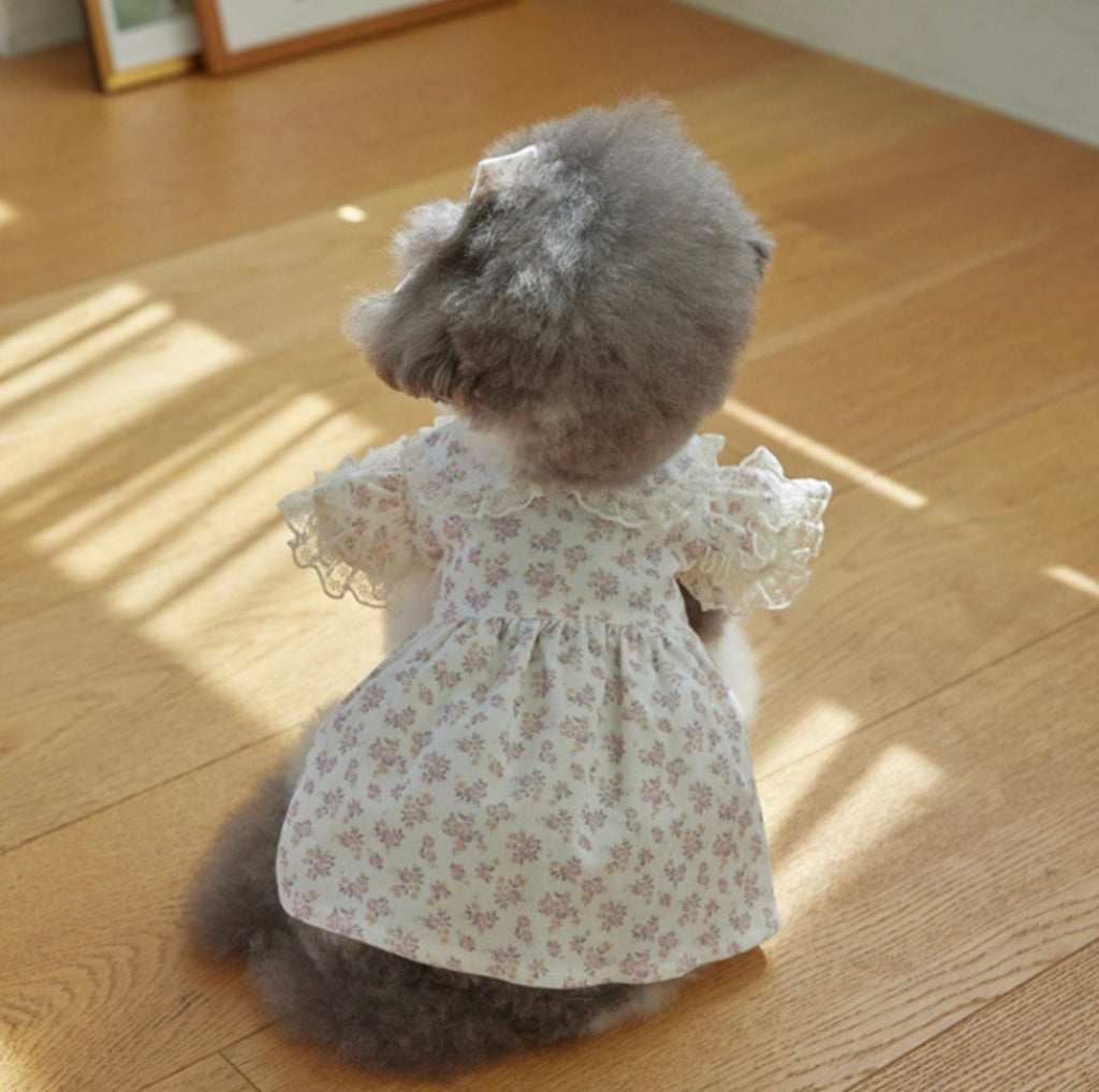 Corduroy Dog Dress - White Floral Pet Outfit for Small Dogs