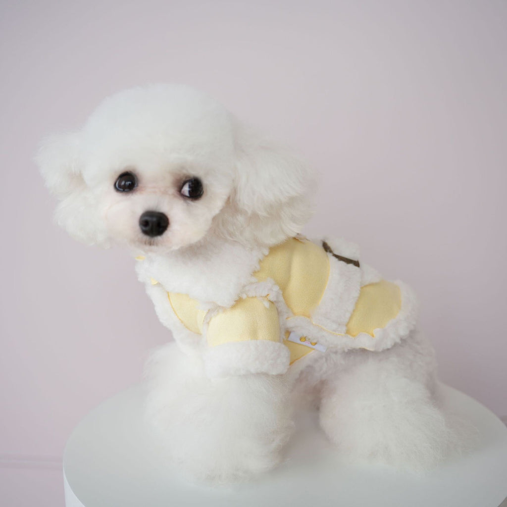 Soft Suede-Style Lamb Fleece Winter Outfit for Pets - Two-Legged Design