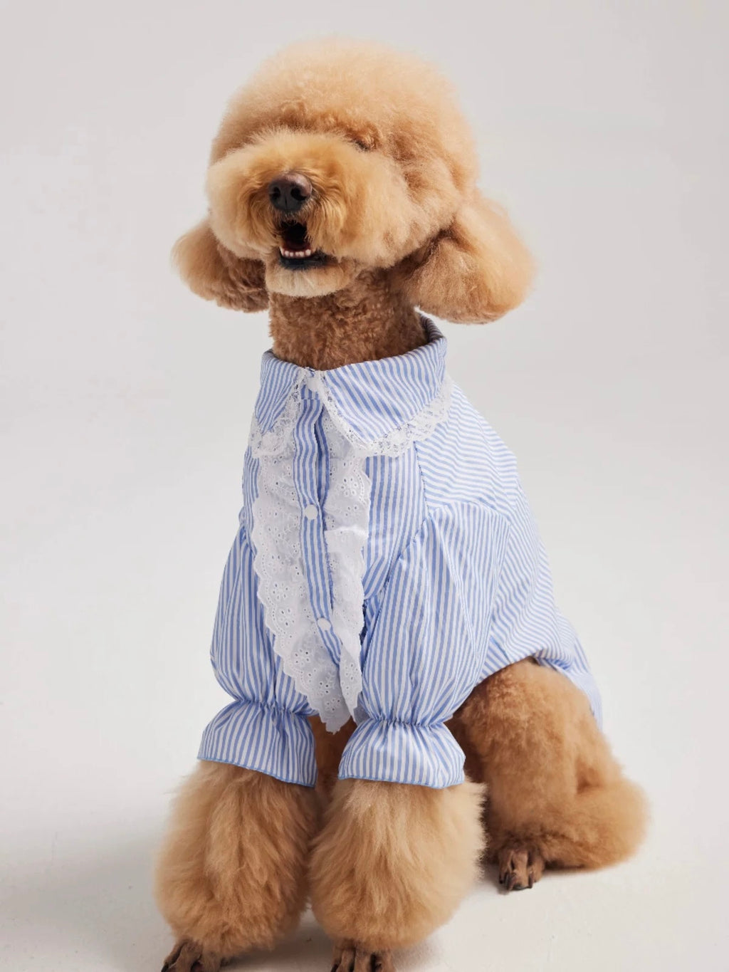 Pleated Puff Sleeve
Shirt for Large Dogs - Elegant Pet Apparel