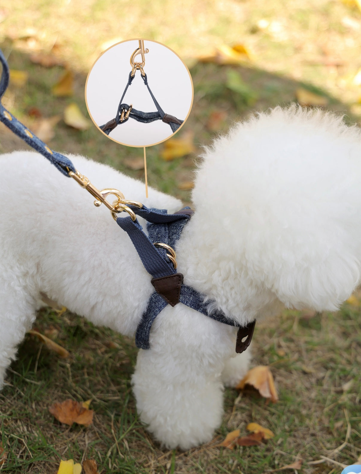 Lightweight Anti-Escape
Pet Harness and Leash Set
- H-Style Vest Design for Dogs and Cats