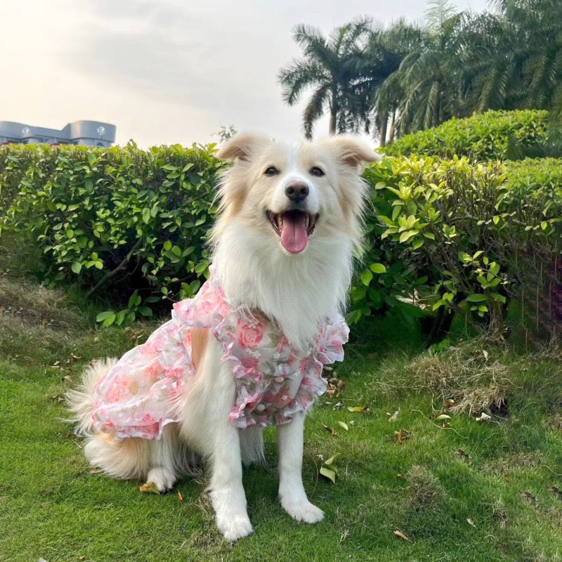 Floral Princess Dress for Medium & Large Dogs