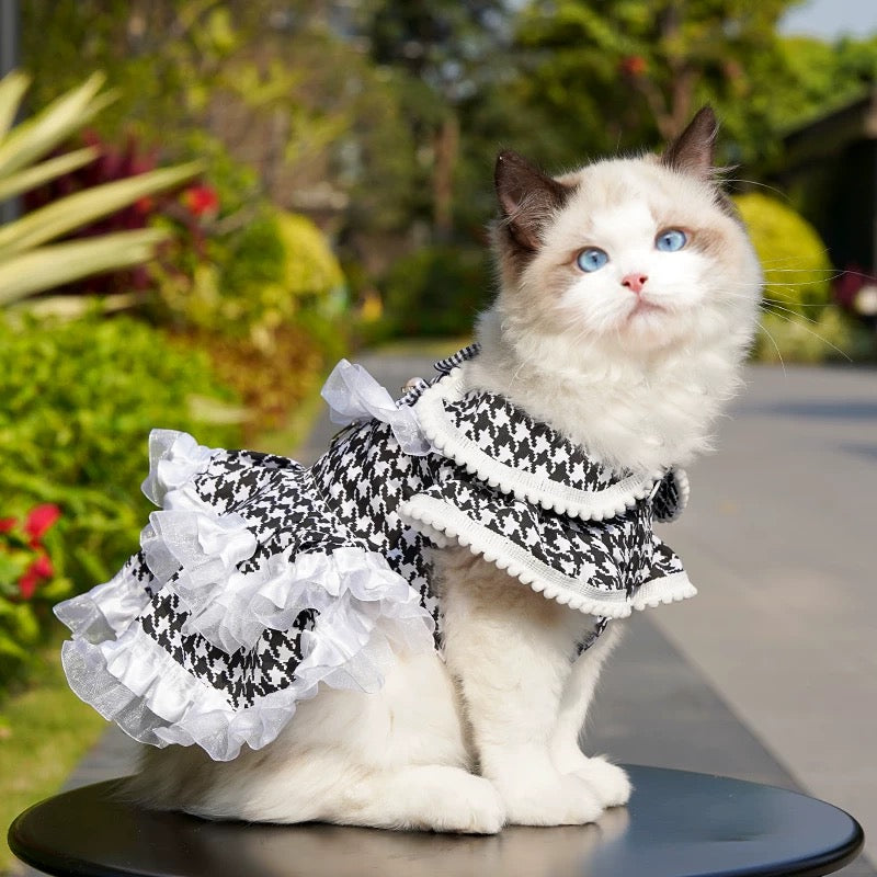 Leash-ready princess dog dress - couple look for small to large pups