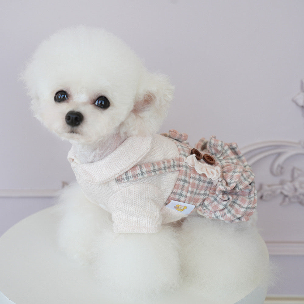 Elegant plaid-layered pet dress for autumn and winter