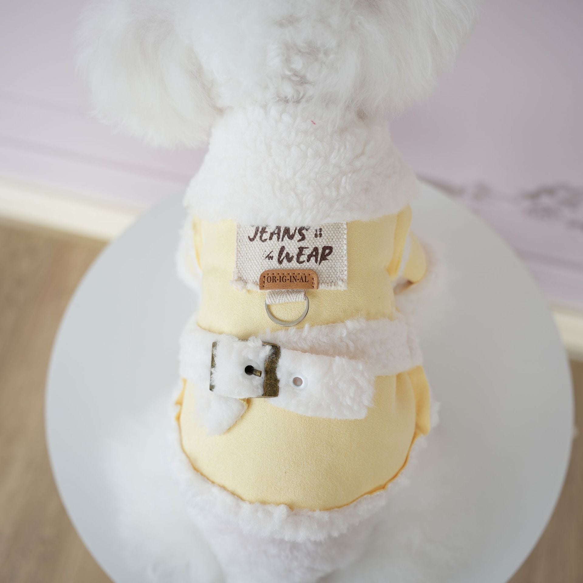Soft Suede-Style Lamb Fleece Winter Outfit for Pets - Two-Legged Design