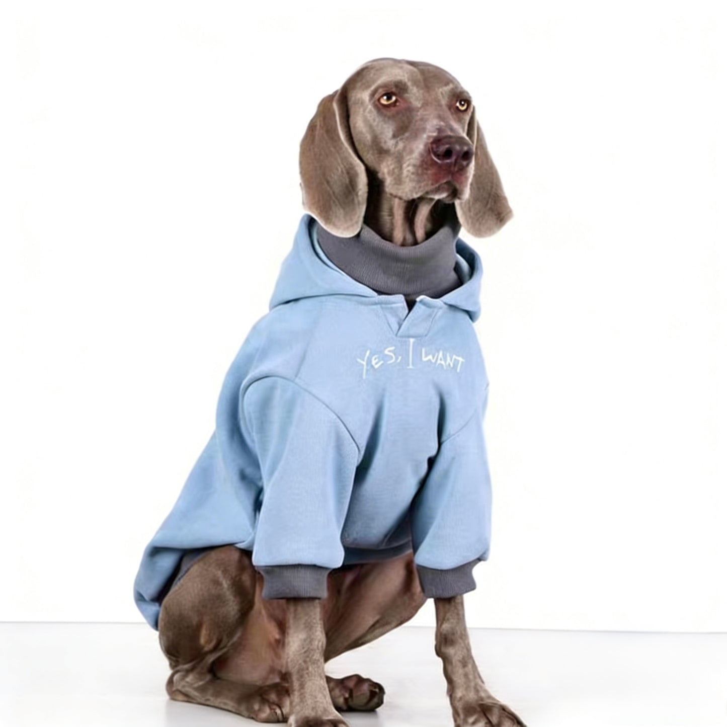 Iceblue Shield Hoodie