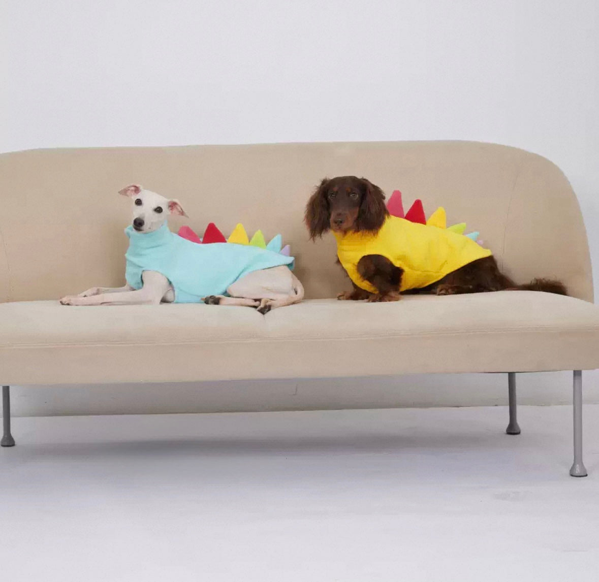 Dinosaur Pet Vest for Dachshunds, Whippets - Autumn Winter Warm Dog Clothes