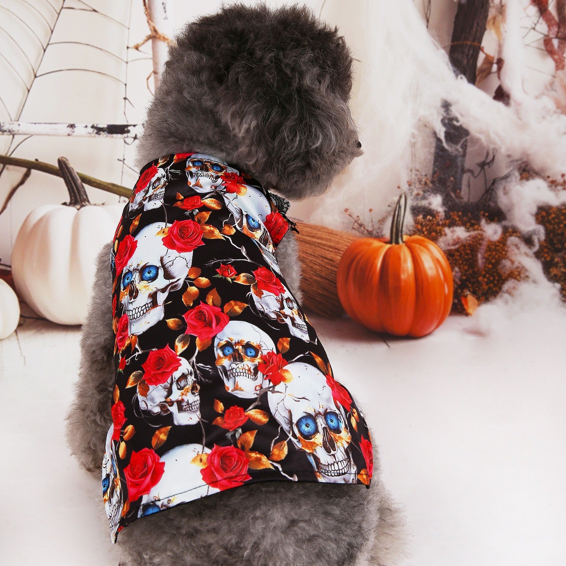 Halloween Pet Shirt - Gold Foil Skull Print on Organza
T-Shirt