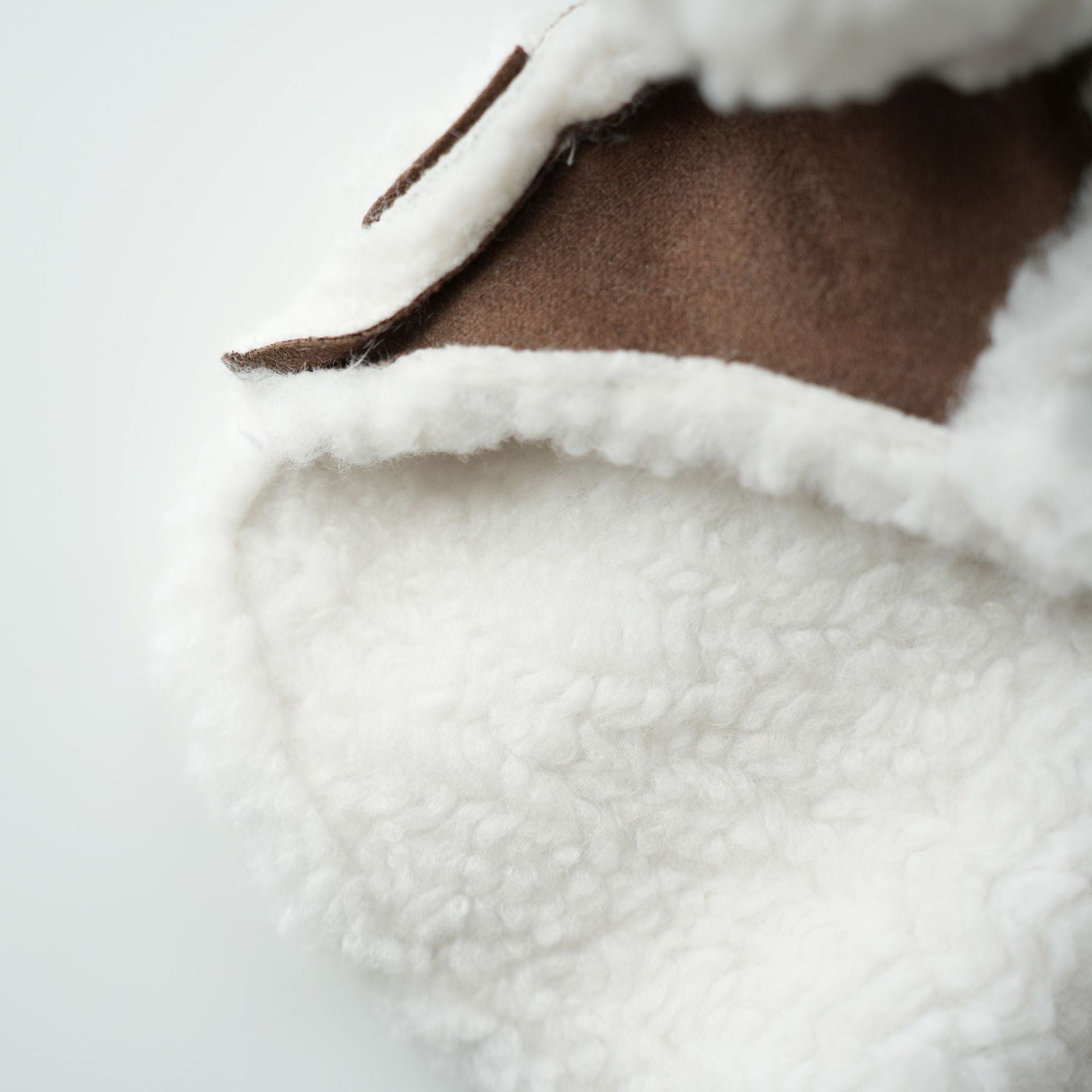 Soft Suede-Style Lamb Fleece Winter Outfit for Pets - Two-Legged Design