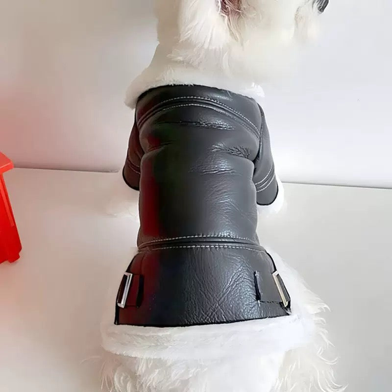 Fleece-Lined Faux Leather
Dog Jacket - All-in-One Winter Coat for Small
Breeds
