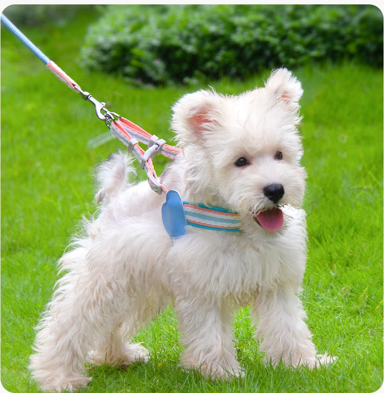 Anti - Pull Lightweight Y - Shaped Dog Harness: Summer Dopamine Vibes