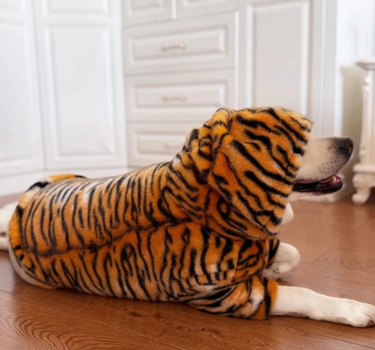 Cozy Tiger-Pattern Winter Coat – Sizes for Medium & Large Dogs