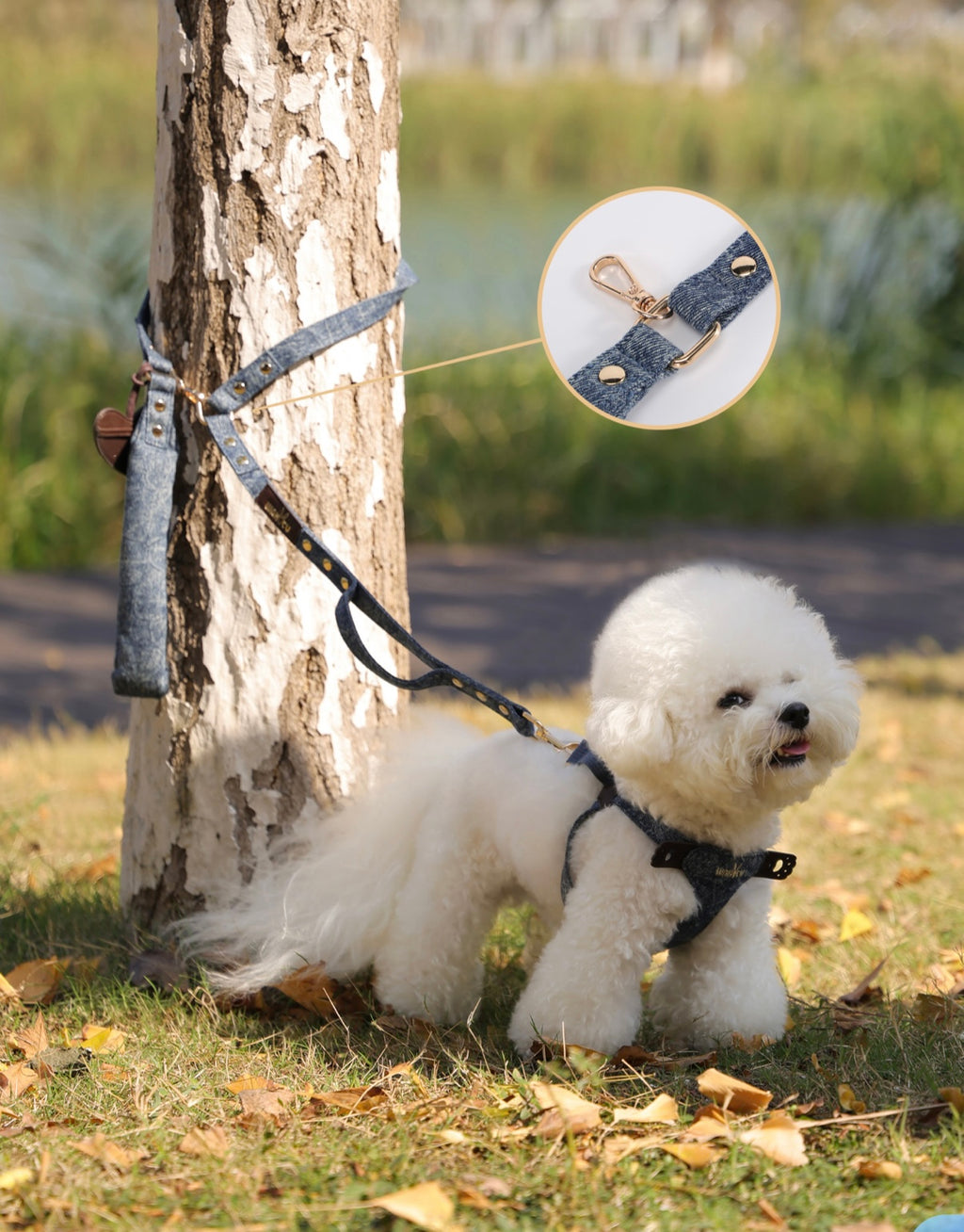 Lightweight Anti-Escape
Pet Harness and Leash Set
- H-Style Vest Design for Dogs and Cats