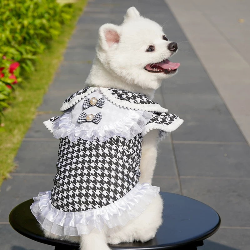 Leash-ready princess dog dress - couple look for small to large pups