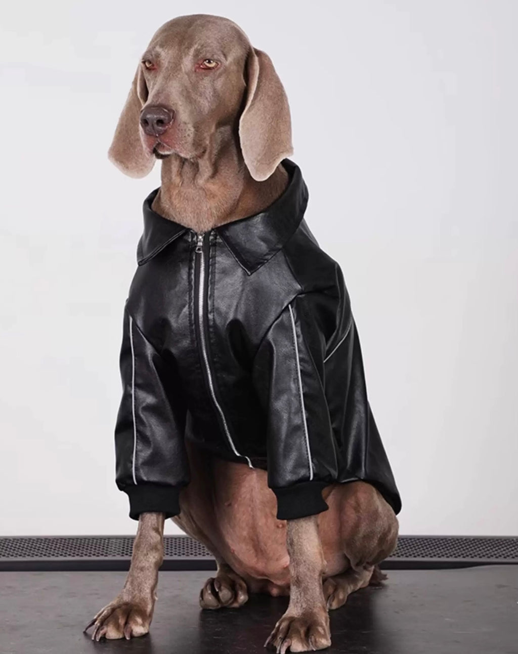Black PU Leather
Windproof Pet Jacket - Designed for Small, Medium, and Large Dogs