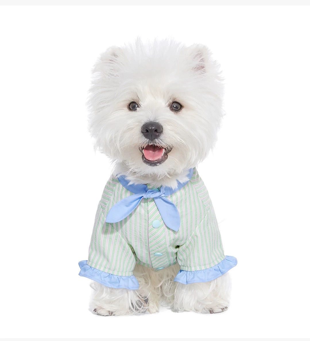 Mint Cookie Shirt