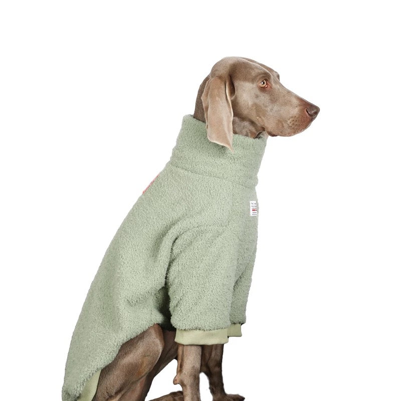 Cozy Fleece Turtleneck