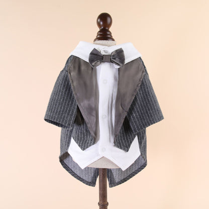 Dog suit, groom's formal attire clothing