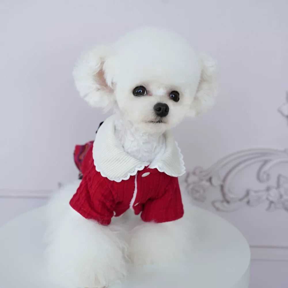 Cozy Cotton Outfit -
Two-Leg Design