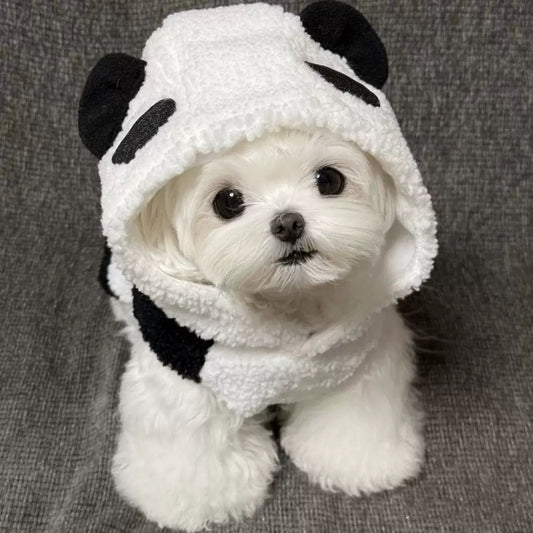 Cute Bear Hoodie for Small Dogs - Two-Legged Design, Perfect for Autumn and Winter