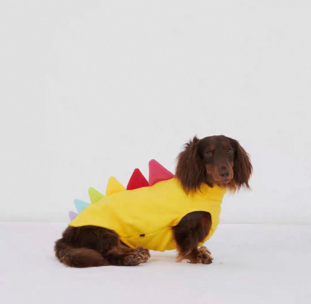 Dinosaur Pet Vest for Dachshunds, Whippets - Autumn Winter Warm Dog Clothes