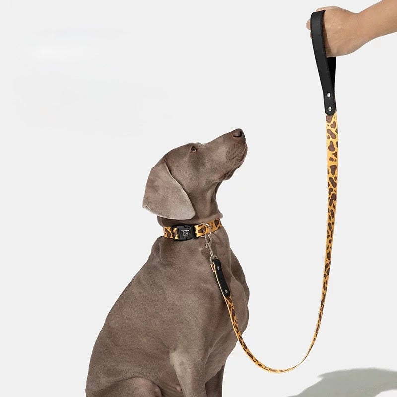 Designed for medium to large dogs – strong, stylish, and secure for every walk