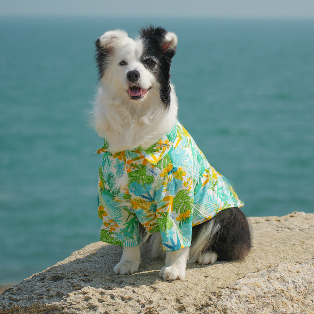 Hawaiian Style Dog
Shirt - Lightweight & Breathable for Medium to Large Dogs