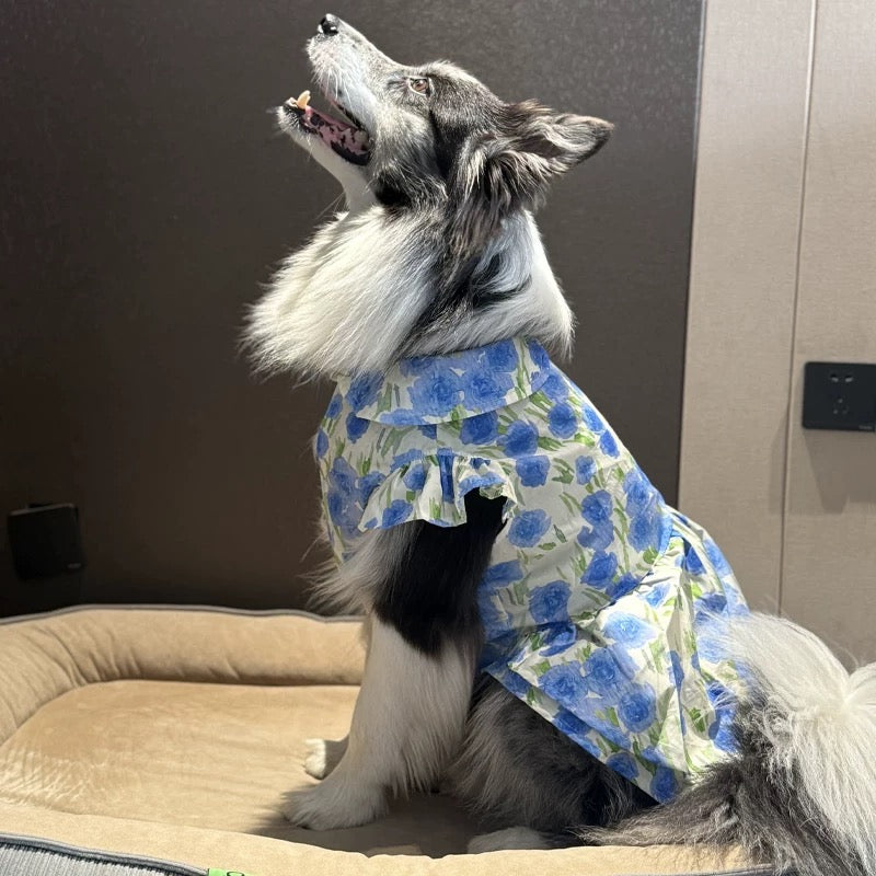 Lightweight floral dress suitable for large, medium, and small dogs