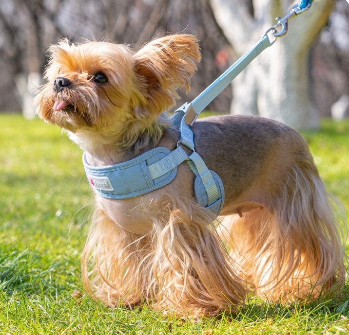 Breathable Pet Harness
Leash Set - Adjustable Dog Chest Strap