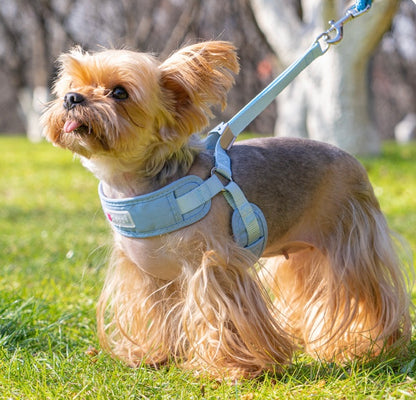 Breathable Pet Harness
Leash Set - Adjustable Dog Chest Strap