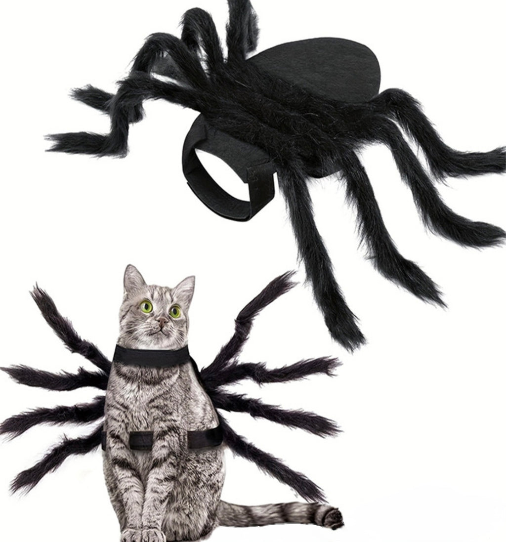 Pet Halloween Spider
Outfit - Soft, Silly & Size-Friendly