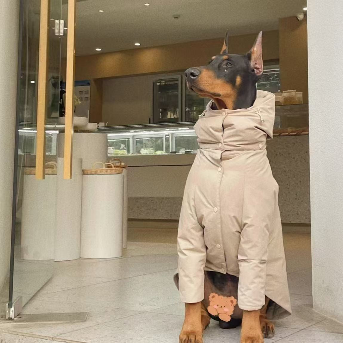 24 Winter Big Dog Solid-Color Cotton-Padded Jacket