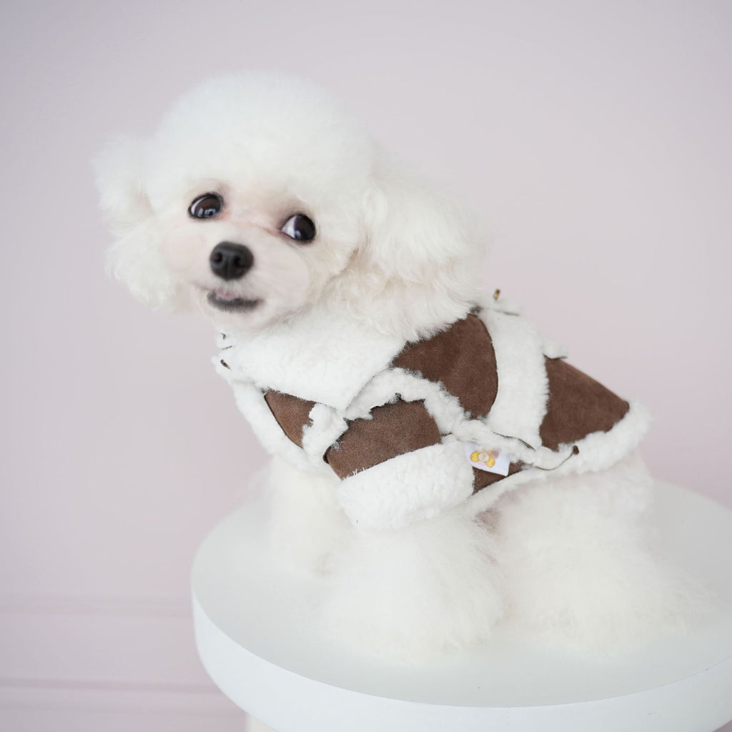 Soft Suede-Style Lamb Fleece Winter Outfit for Pets - Two-Legged Design