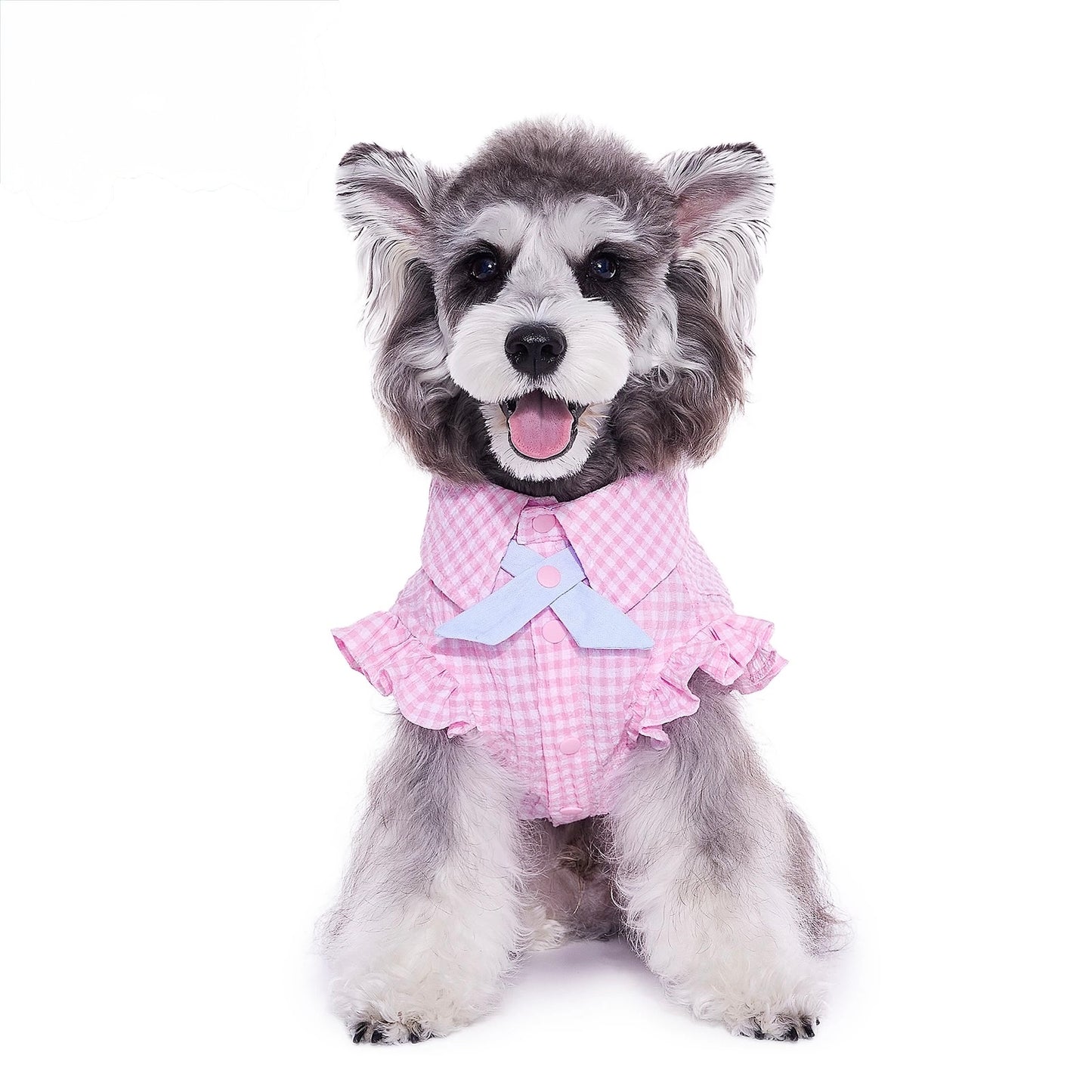 Bubble Pink Plaid Shirt