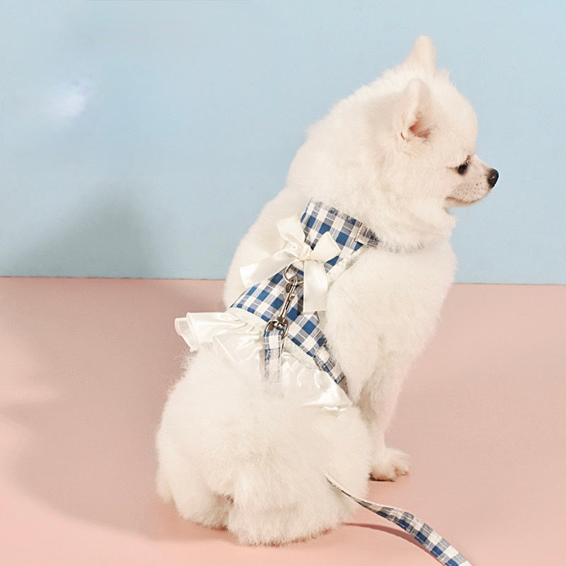 Paw & Bows Pet Herness Set