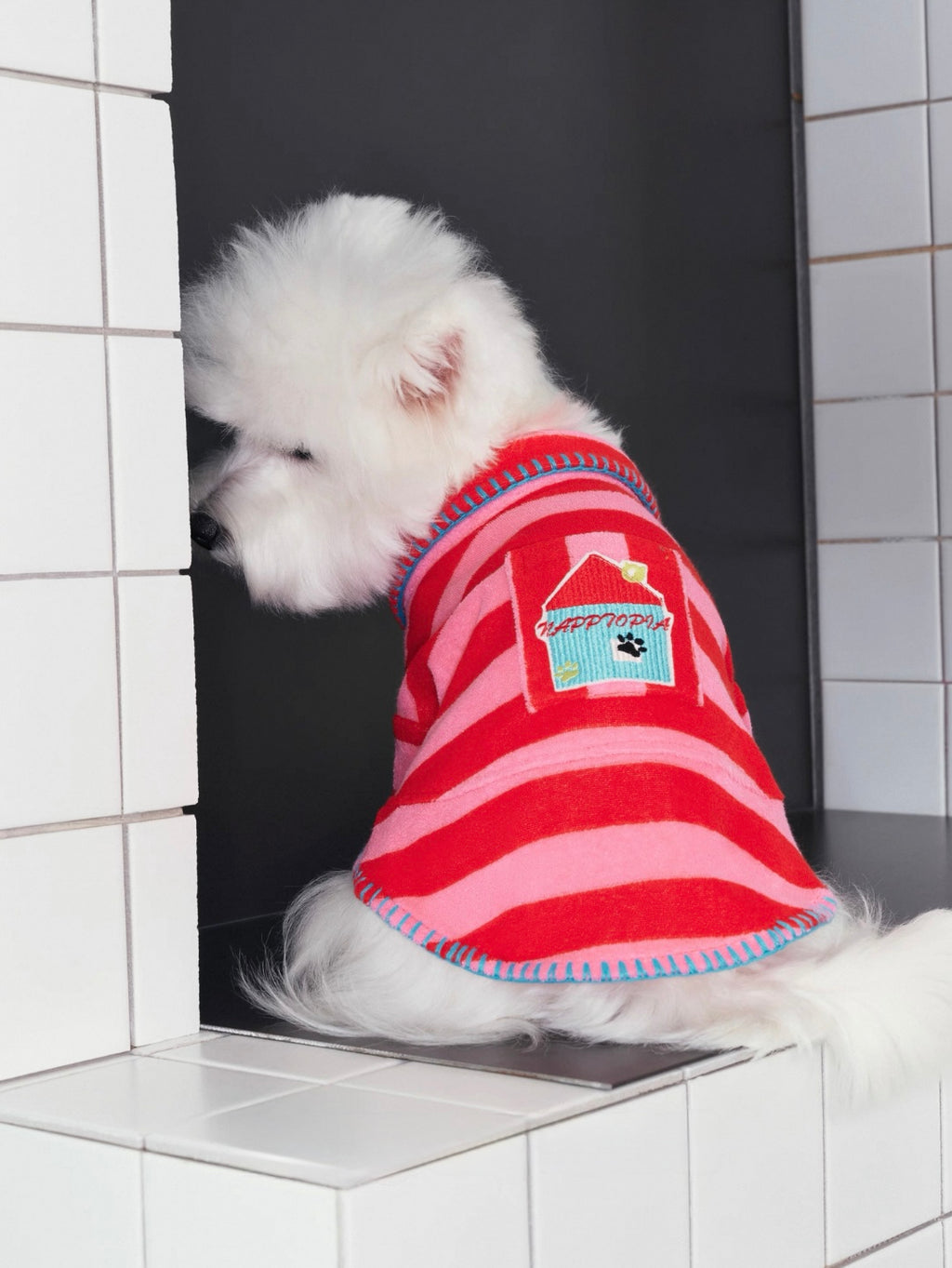 The red striped sweater is suitable for small dogs