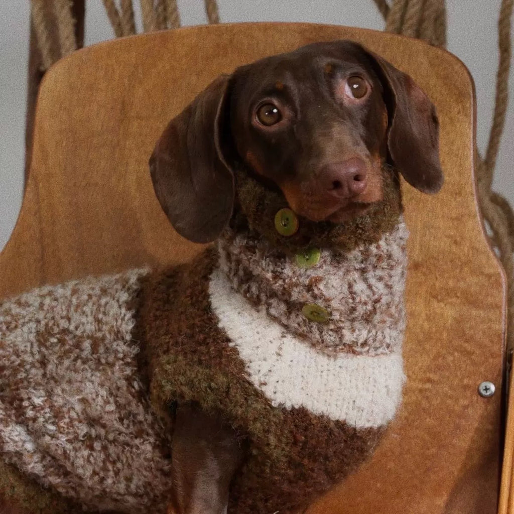 Cold Weather Pet Sweater Soft and Comfortable Winter Wear