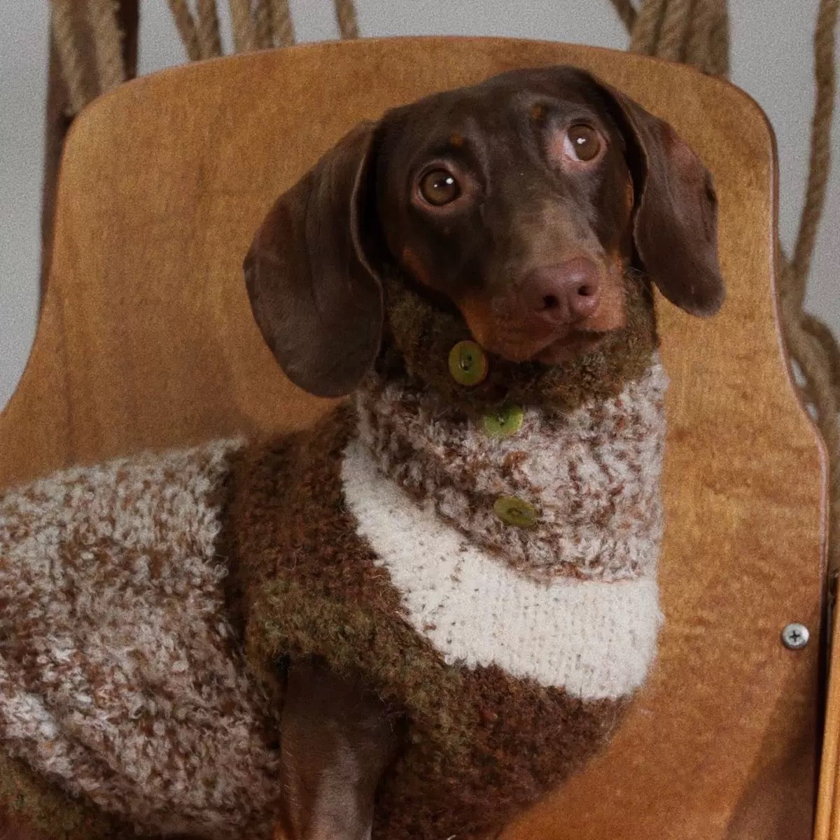 Cold Weather Pet Sweater Soft and Comfortable Winter Wear