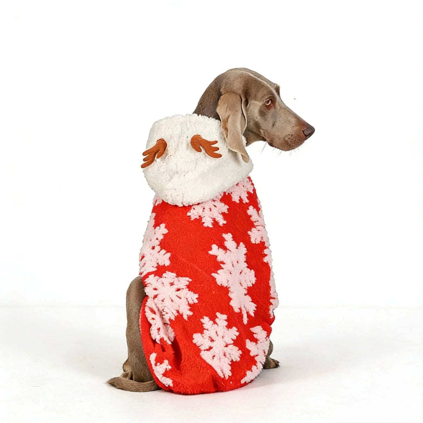 Snowflake Hoodie Suit