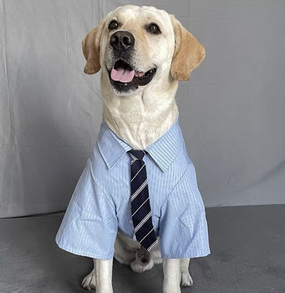 Preppy Style Large Dog
Shirt with Tie - Anti-Shedding Design, Perfect for Medium to Large Breeds
