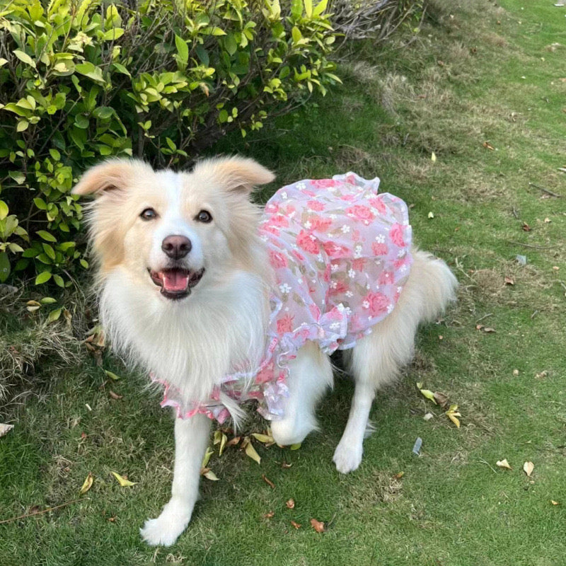 Floral Princess Dress for Medium & Large Dogs
