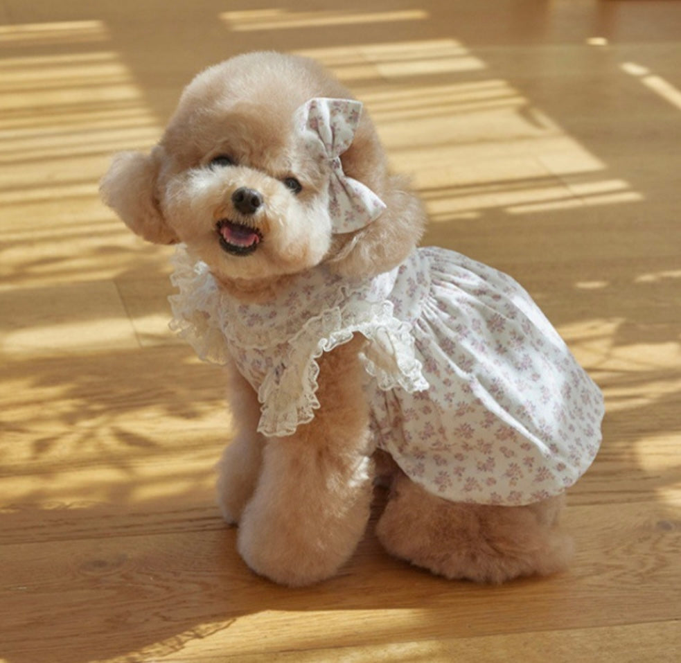 Corduroy Dog Dress - White Floral Pet Outfit for Small Dogs