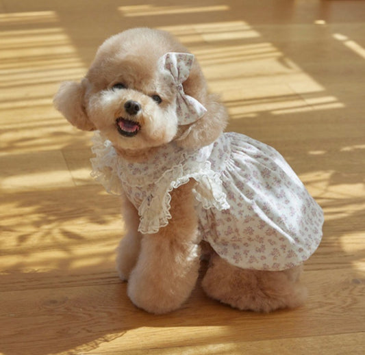 Corduroy Dog Dress - White Floral Pet Outfit for Small Dogs
