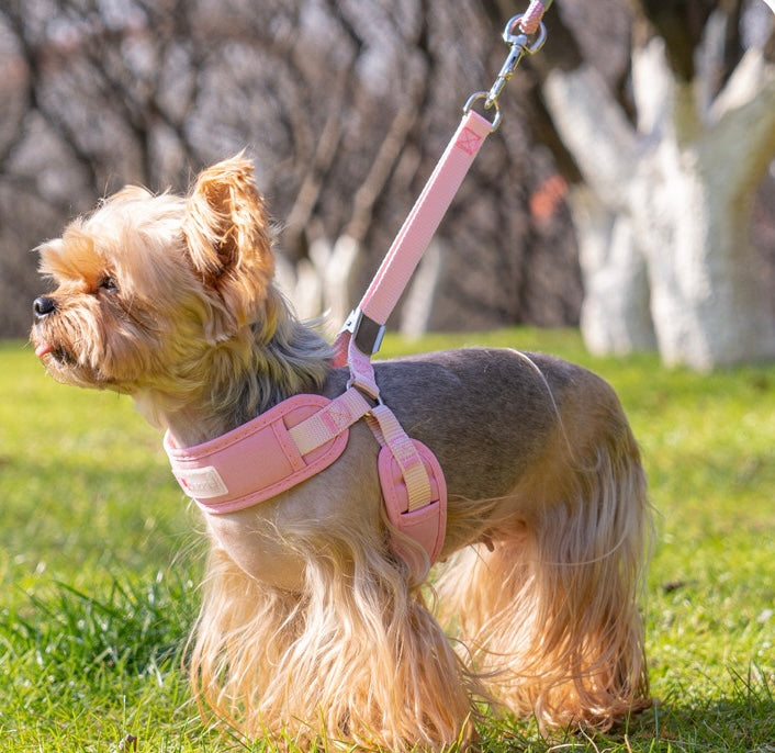 Breathable Pet Harness
Leash Set - Adjustable Dog Chest Strap