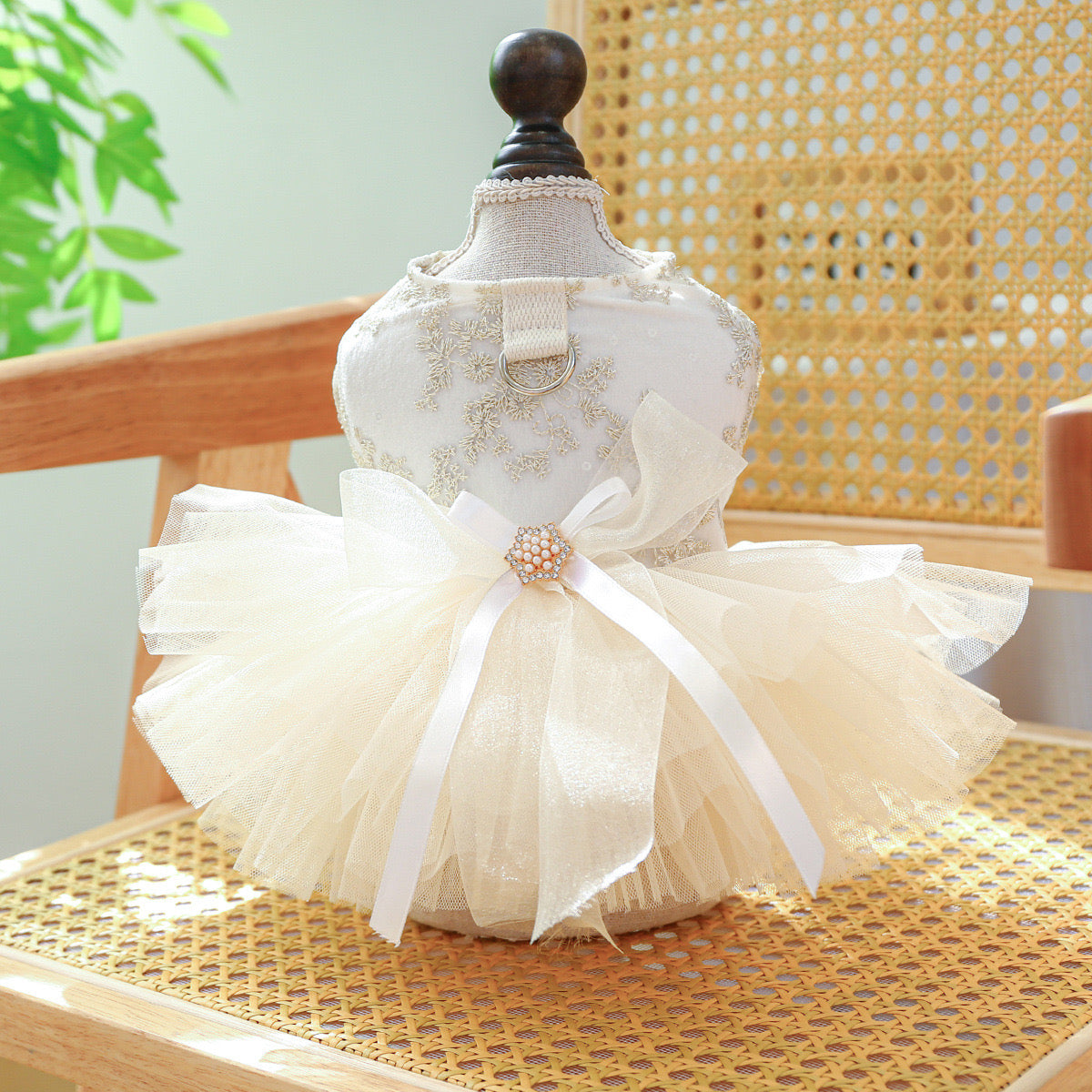 Angelic Tulle Ballet Gown